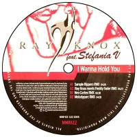 I Wanna Hold You