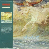Brandung