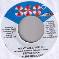 What Will You Do
