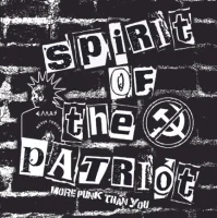 More Punk Than You