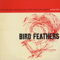 Bird Feathers