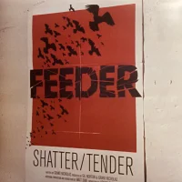 Shatter / Tender