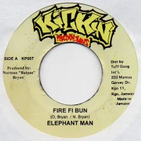 Fire Fi Bun / Get Rich