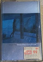 Beautiful Tomorrow