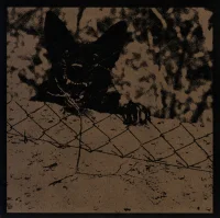 Soft Kill / Lesser Care - Split
