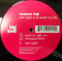 Last Night A DJ Saved My Life