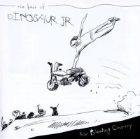 Ear-Bleeding Country: The Best Of Dinosaur Jr.