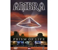 Prism Of Life