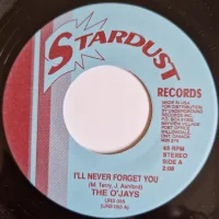 I'll Never Forget You / A Day Or Two