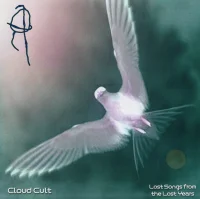 Lost Songs From The Lost Years
