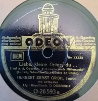 Liebe Kleine Geige, Du ... / An Deinem Herzen Ist Meine Heimat!