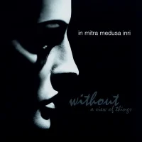 Without A View Of Things