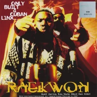 Only Built 4 Cuban Linx...