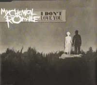 I Don't Love You