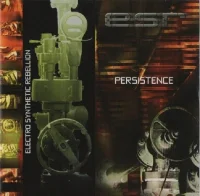 Persistence