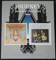Look Into The Future / Next