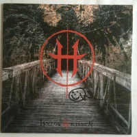 Hollow Illusion
