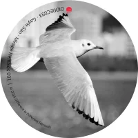 Mirage Remixes 001