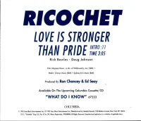 Love Is Stronger Than Pride
