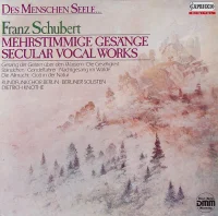 Des Menschen Seele...: Mehrstimmige Gesänge - Secular Vocal Works