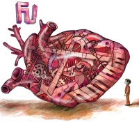 Heart