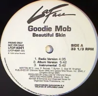 Beautiful Skin / Ghetto-ology