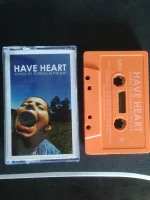Songs To Scream At The Sun
