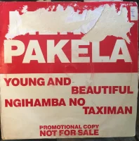 Young And Beautiful / Ngihamba No Taximan