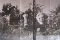 Lost Songs