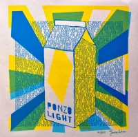 Ponzo Light