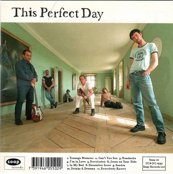 This Perfect Day