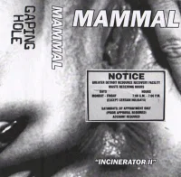 Incinerator II