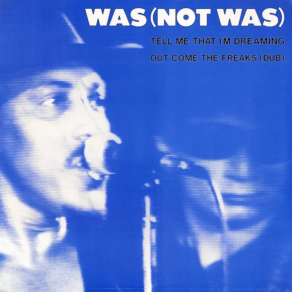Tell Me That I'm Dreaming / Out Come The Freaks (Dub Version)