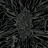 Between Roots And Darkness