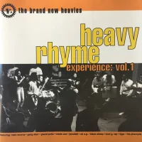 Heavy Rhyme Experience: Vol. 1