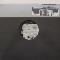 Analog Past