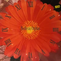 Century Flower