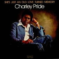 She's Just An Old Love Turned Memory