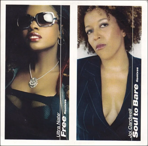 Free Remixes / Soul To Bare Remixes