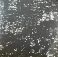 Sincerely, Future Pollution