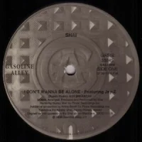 I Don't Wanna Be Alone (Remix)
