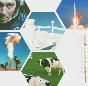 Romanticism In Robotic Systems
