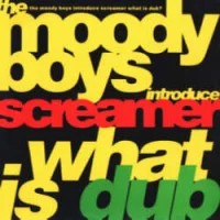 What Is Dub?