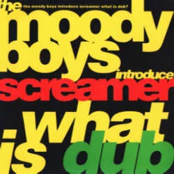 What Is Dub?