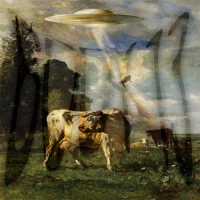 #101: Sacred Cows