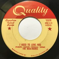 I Used To Love You