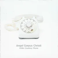 White Courtesy Phone