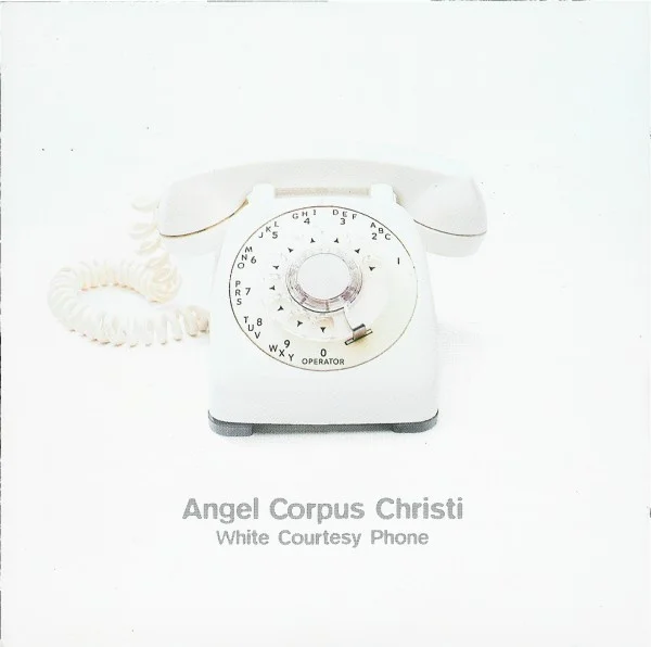 White Courtesy Phone