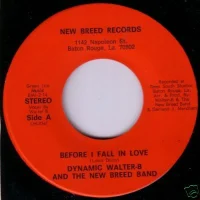 Before I Fall In Love
