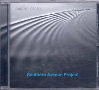 Southern Avenue Project